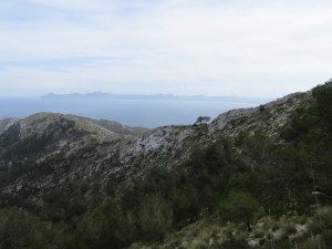 IMG_5226 (Medium)